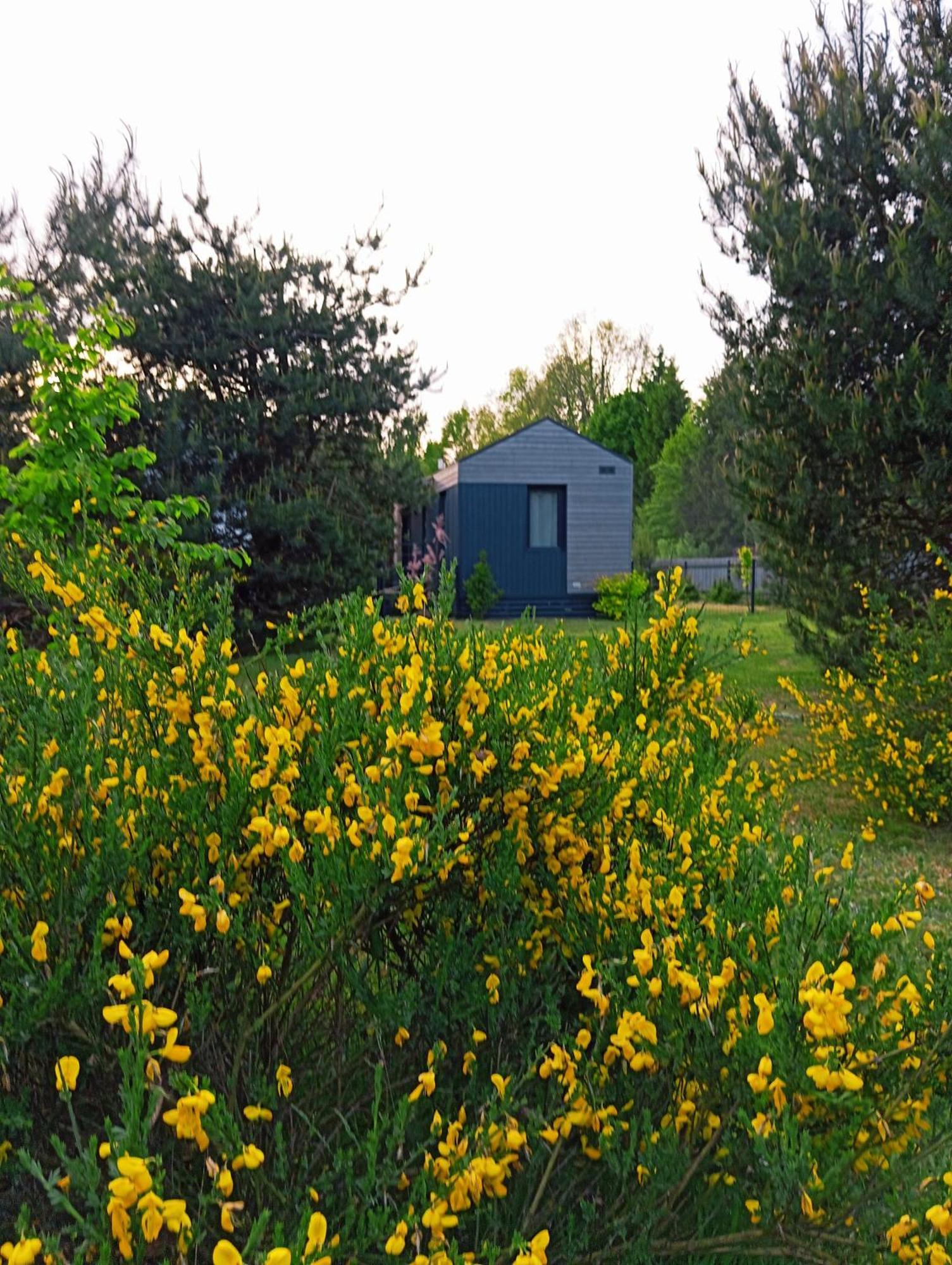 Vila Janiolowo Czarny Mlyn Exteriér fotografie